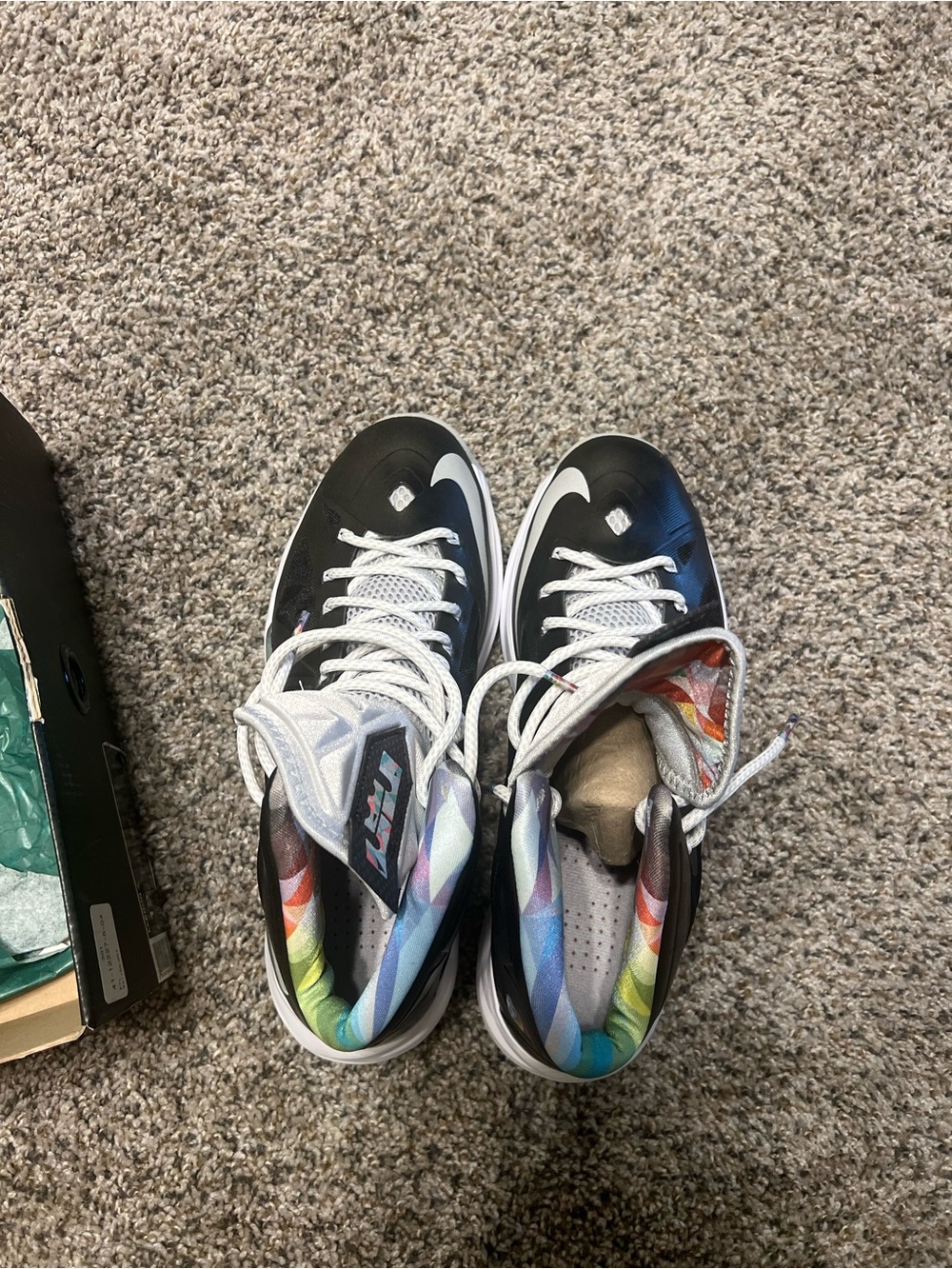 Lebron Prism 10 size 12